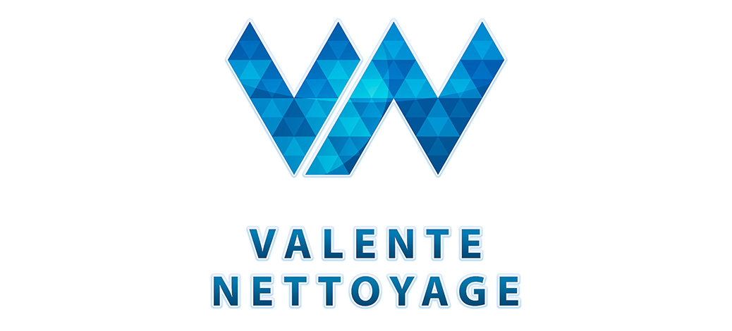Logo de l'entreprise Valente Nettoyage
